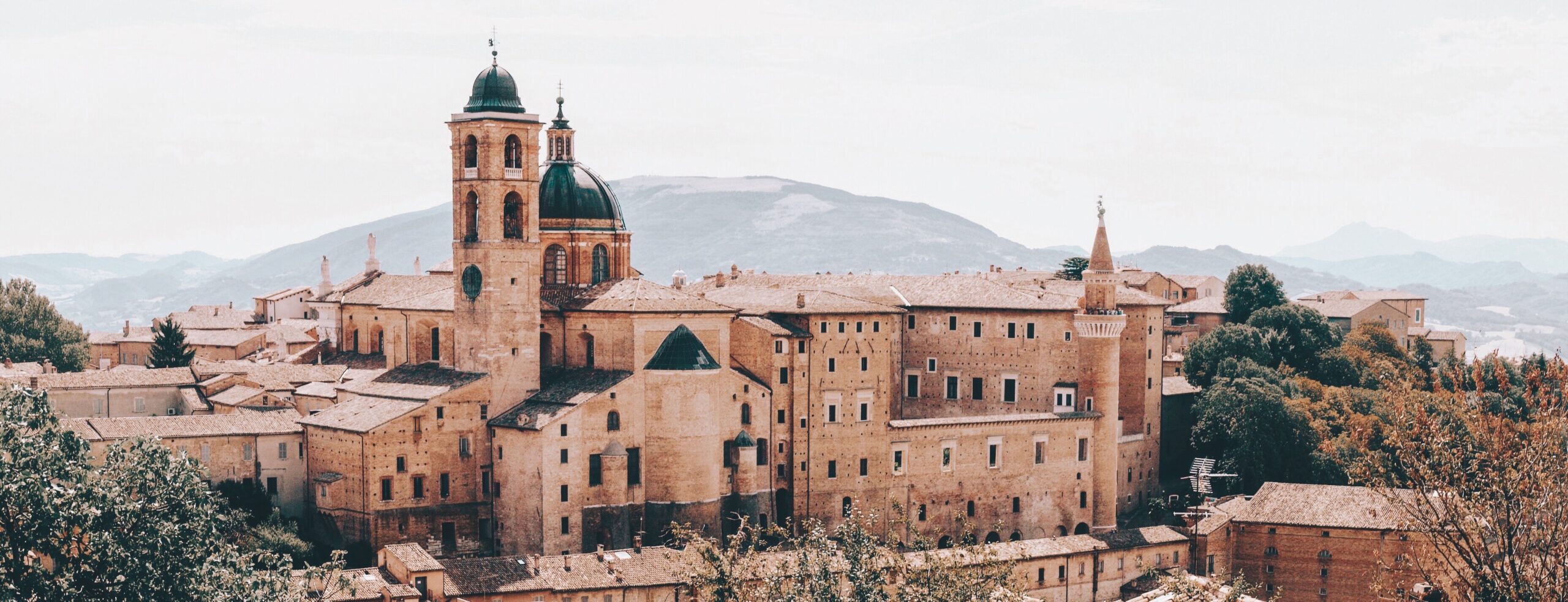 Próxima parada: El país de las maravillas