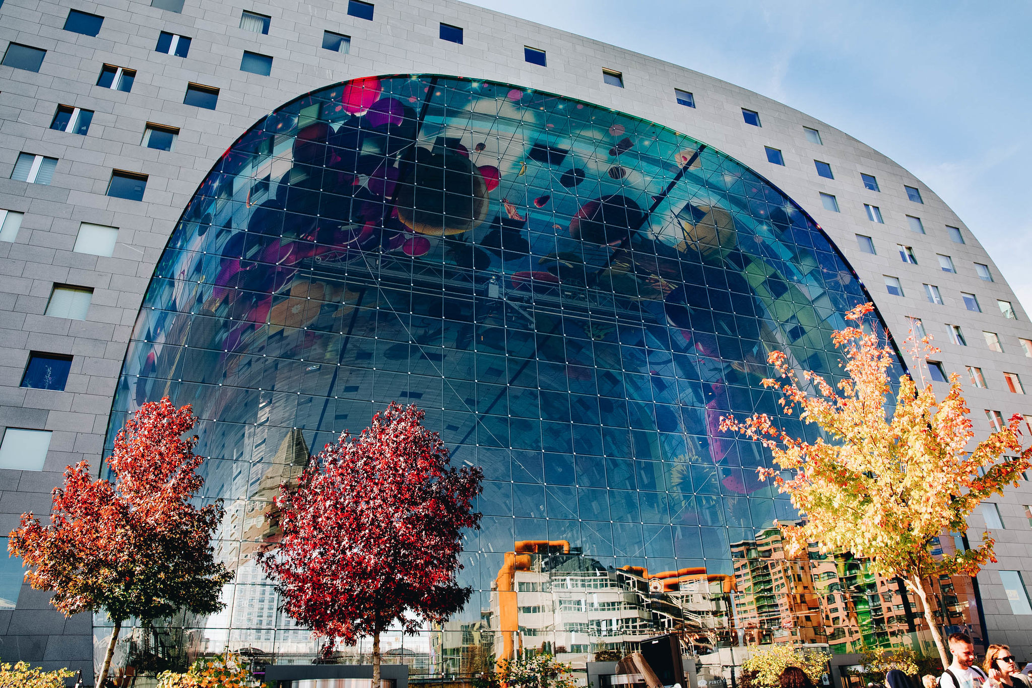 Las mejores cosas que ver en Rotterdam