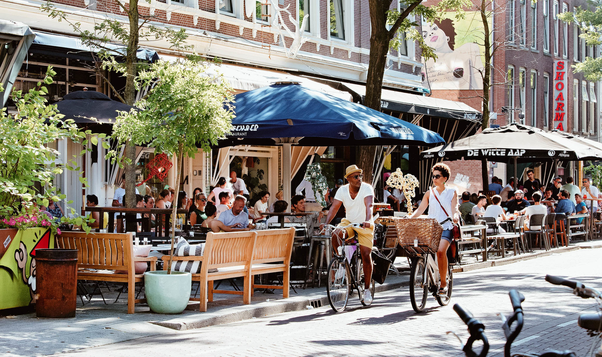 Las mejores cosas que ver en Rotterdam