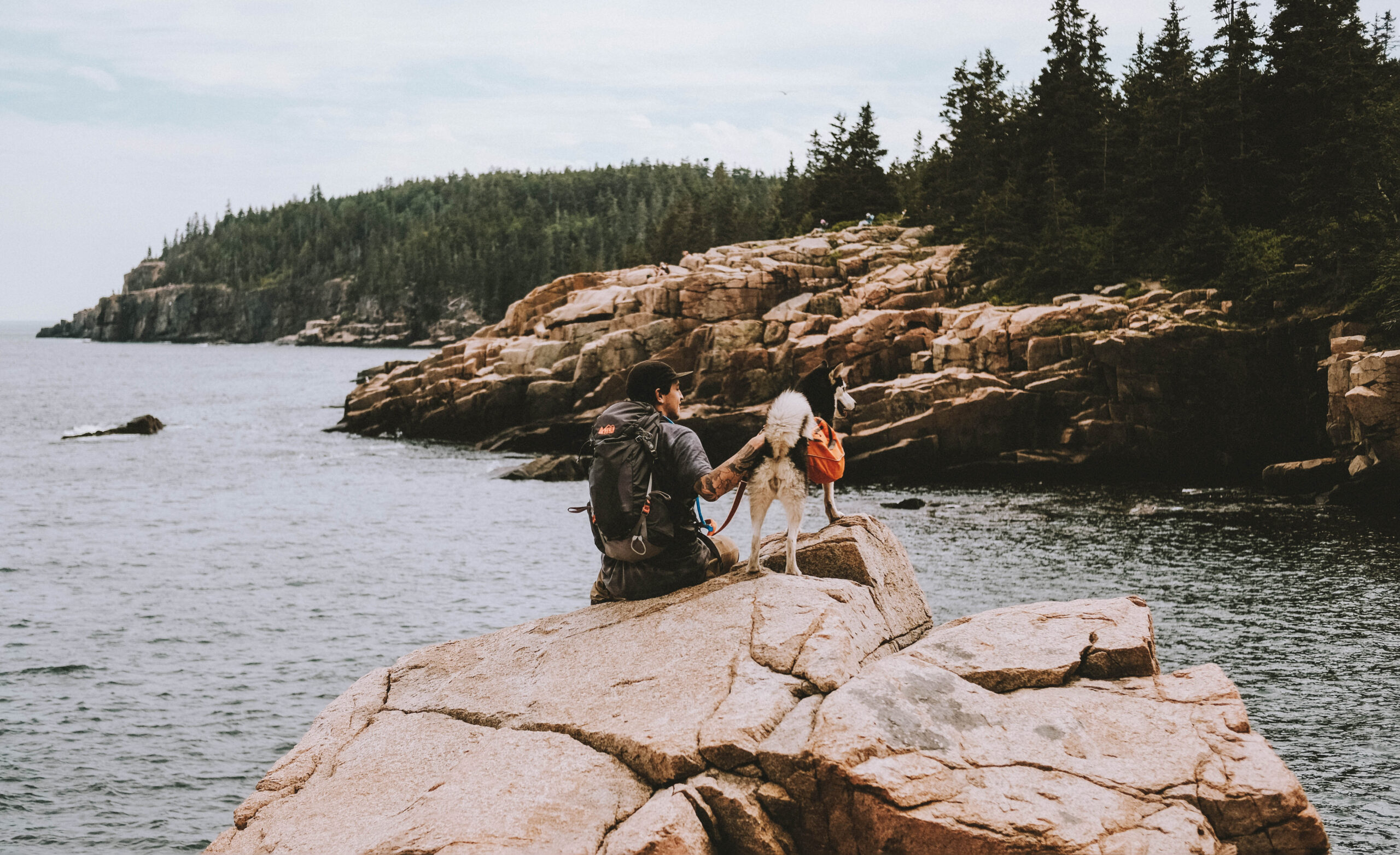 Viaja con tu mejor amigo