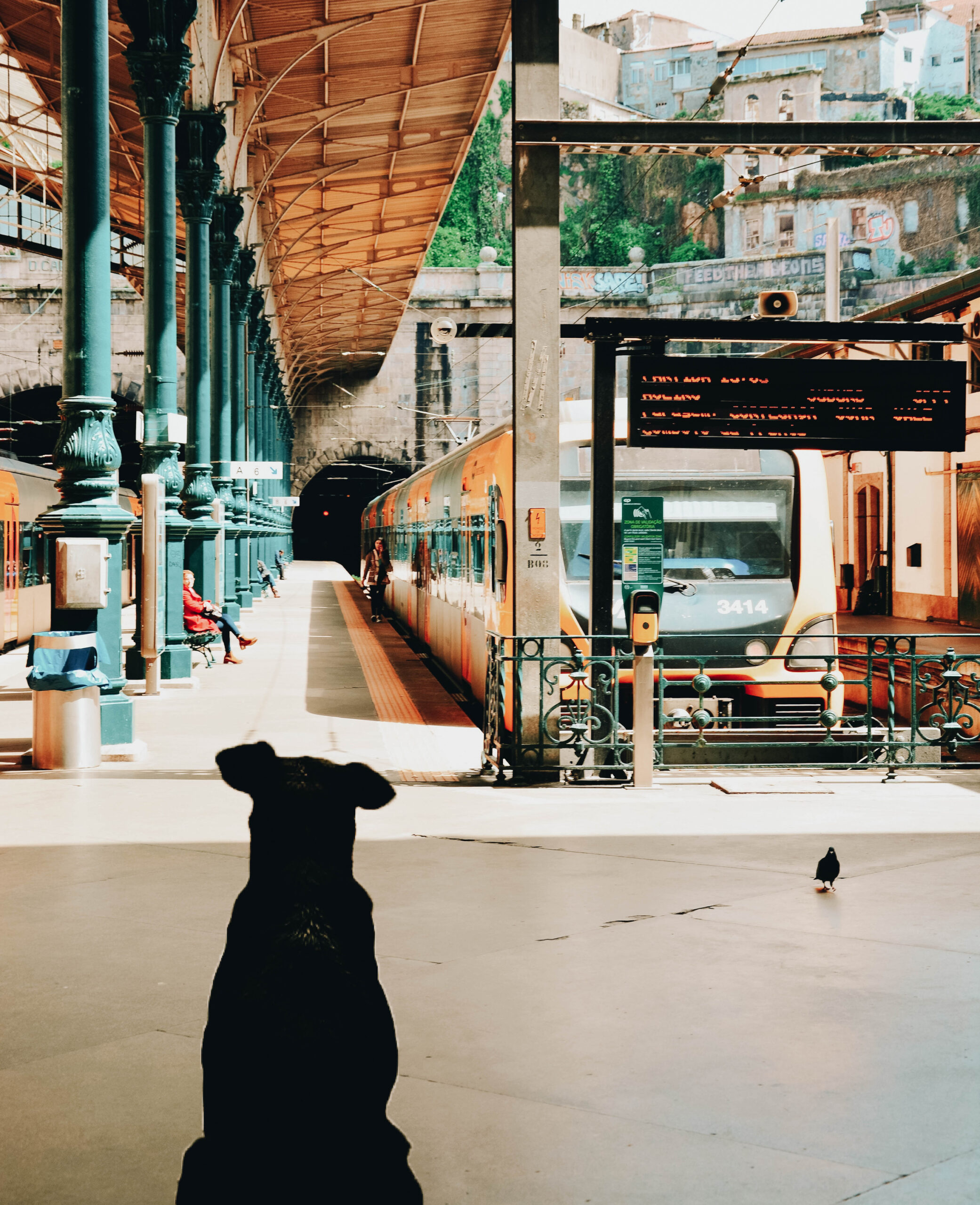 Viaja con tu mejor amigo