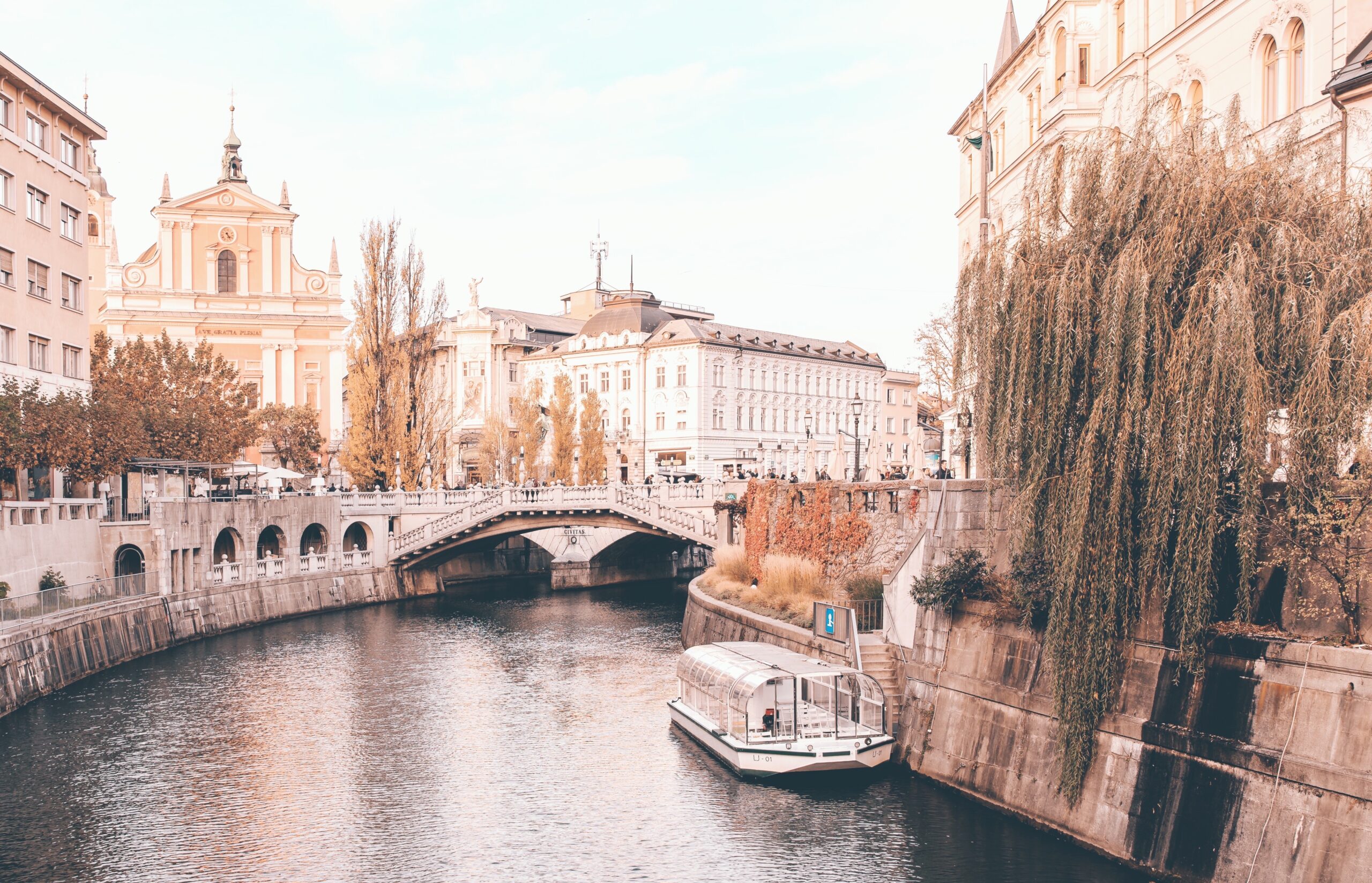 Próxima parada: El país de las maravillas