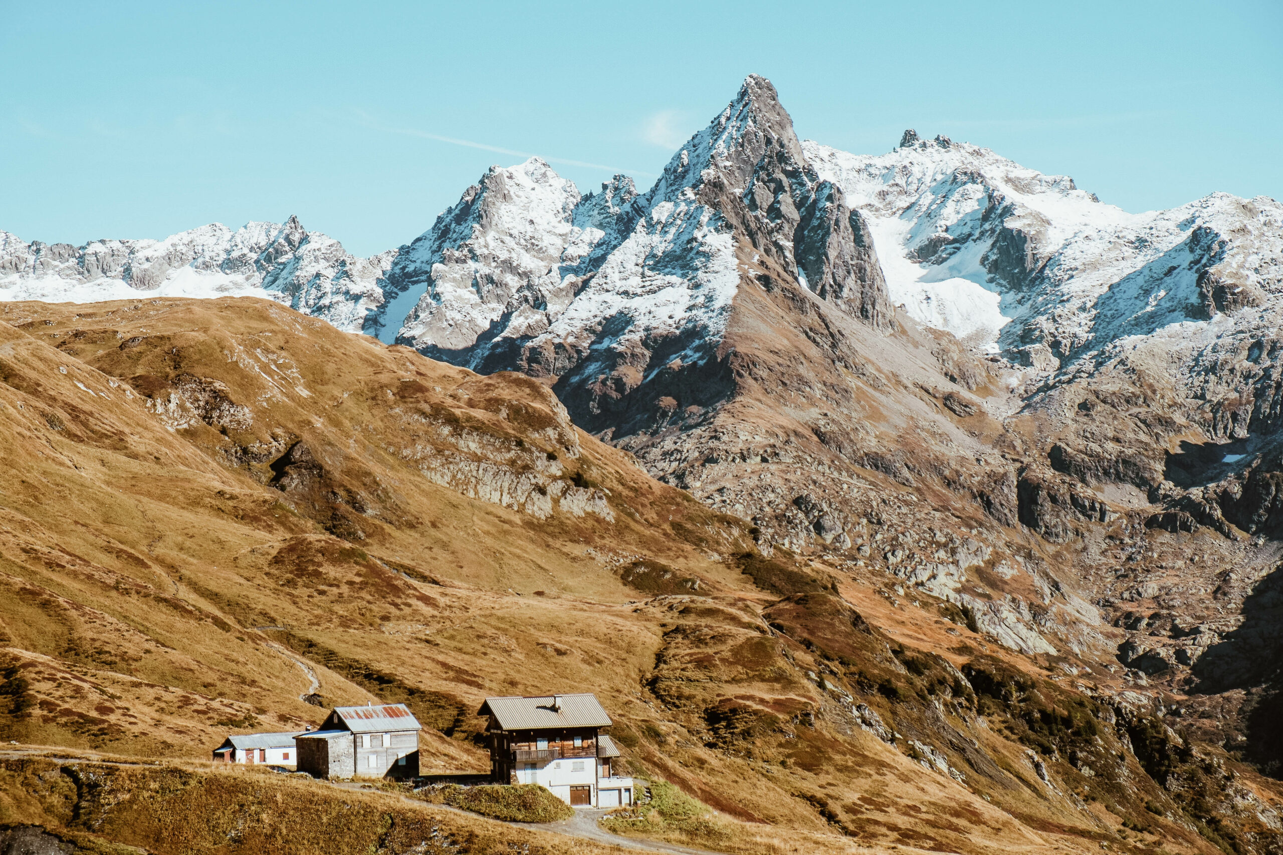 Viaja con tu mejor amigo