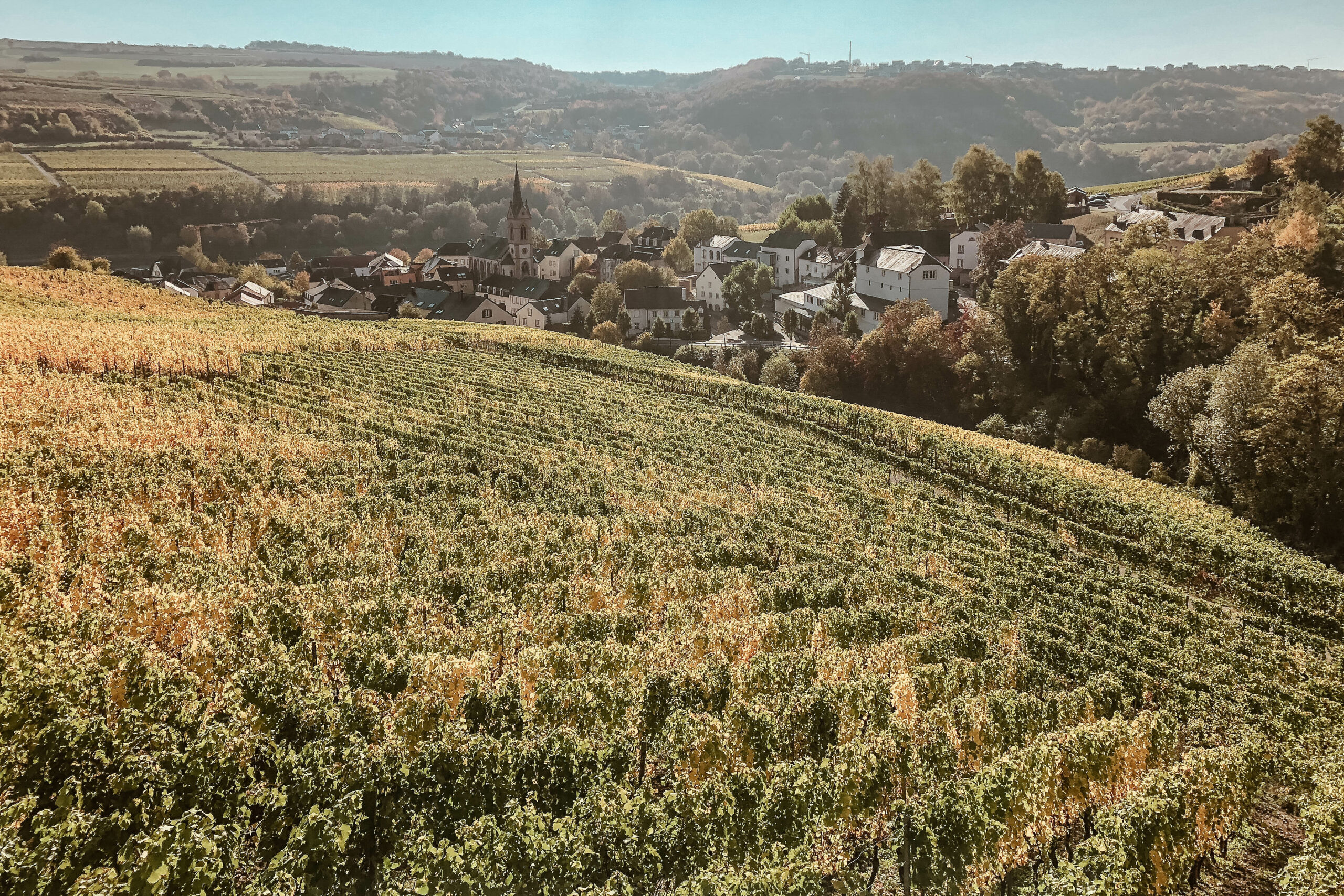 De estrella Michelín