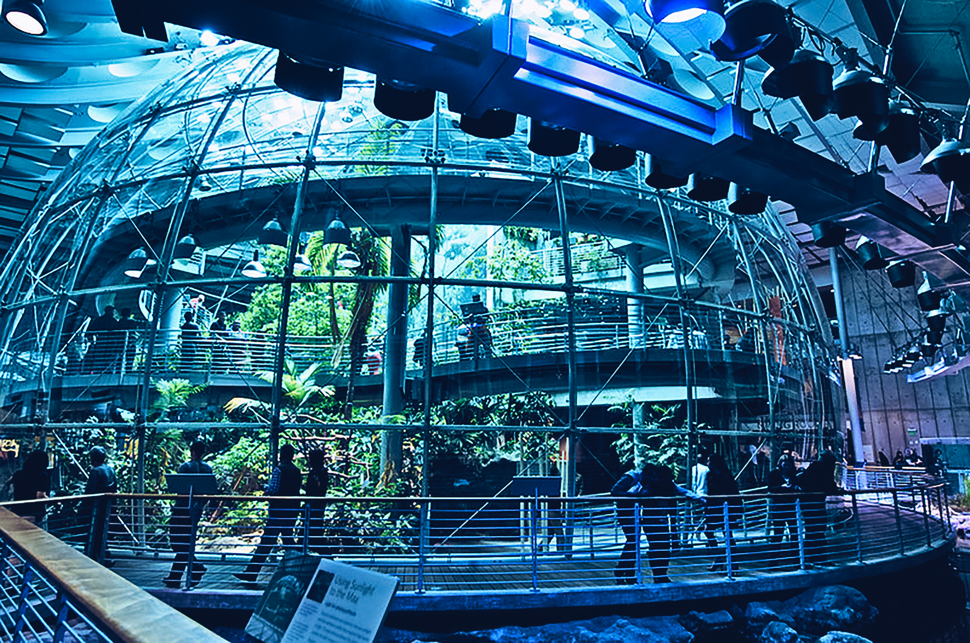 Las mejores cosas que ver en San Francisco