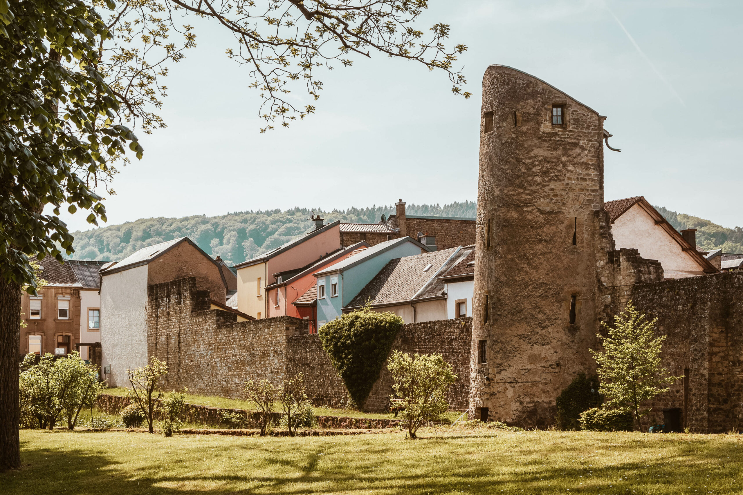 De estrella Michelín