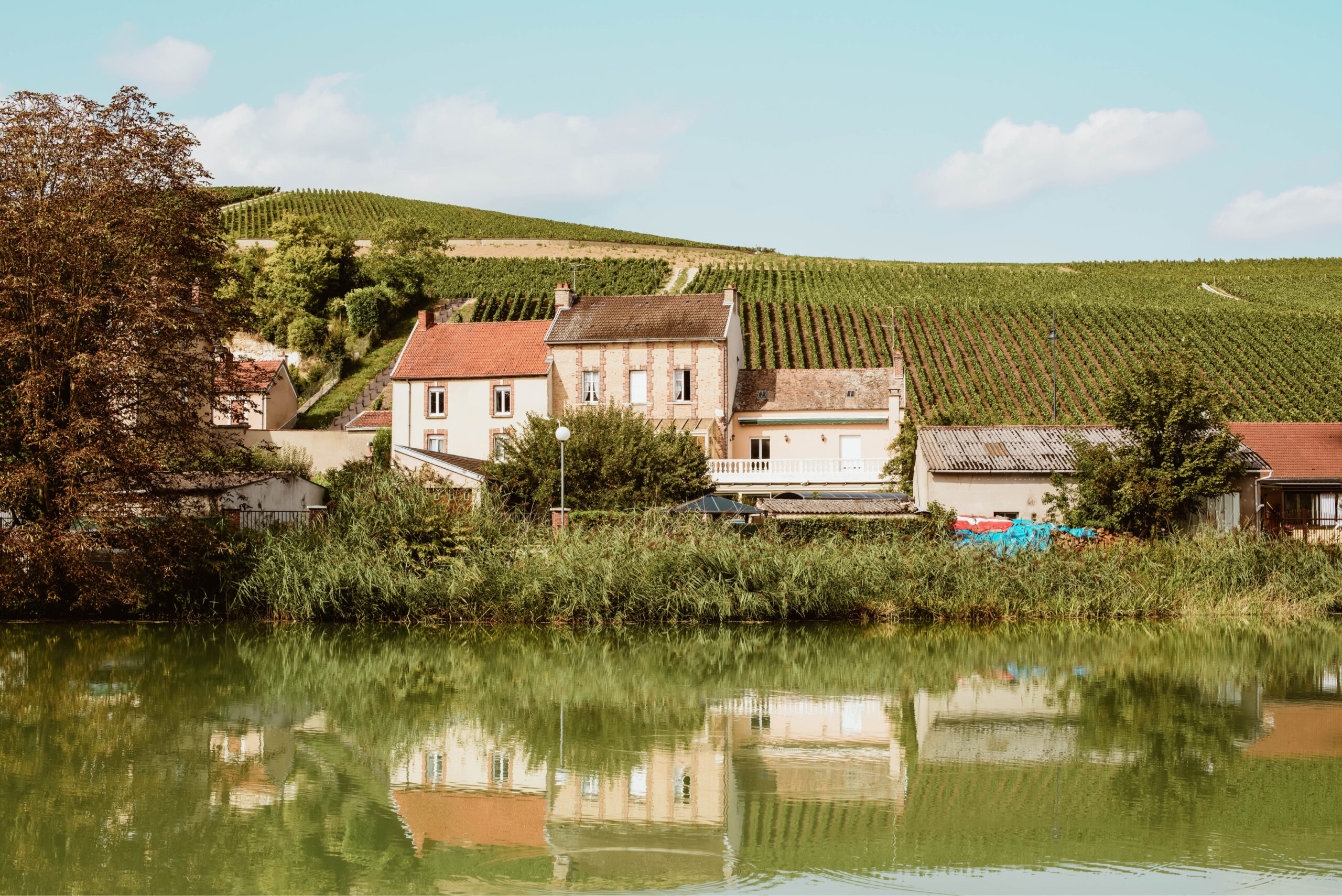 Ve poniendo a enfriar el champán