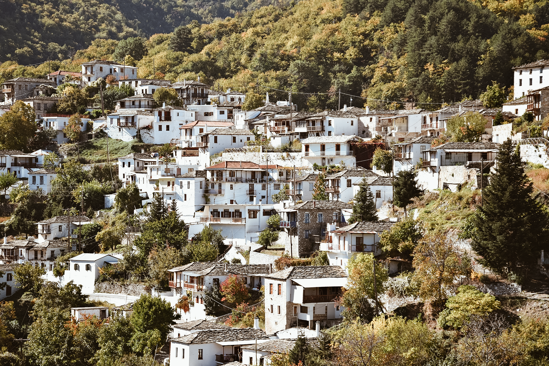 Patrimonio sagrado: Lenguas casi extinguidas