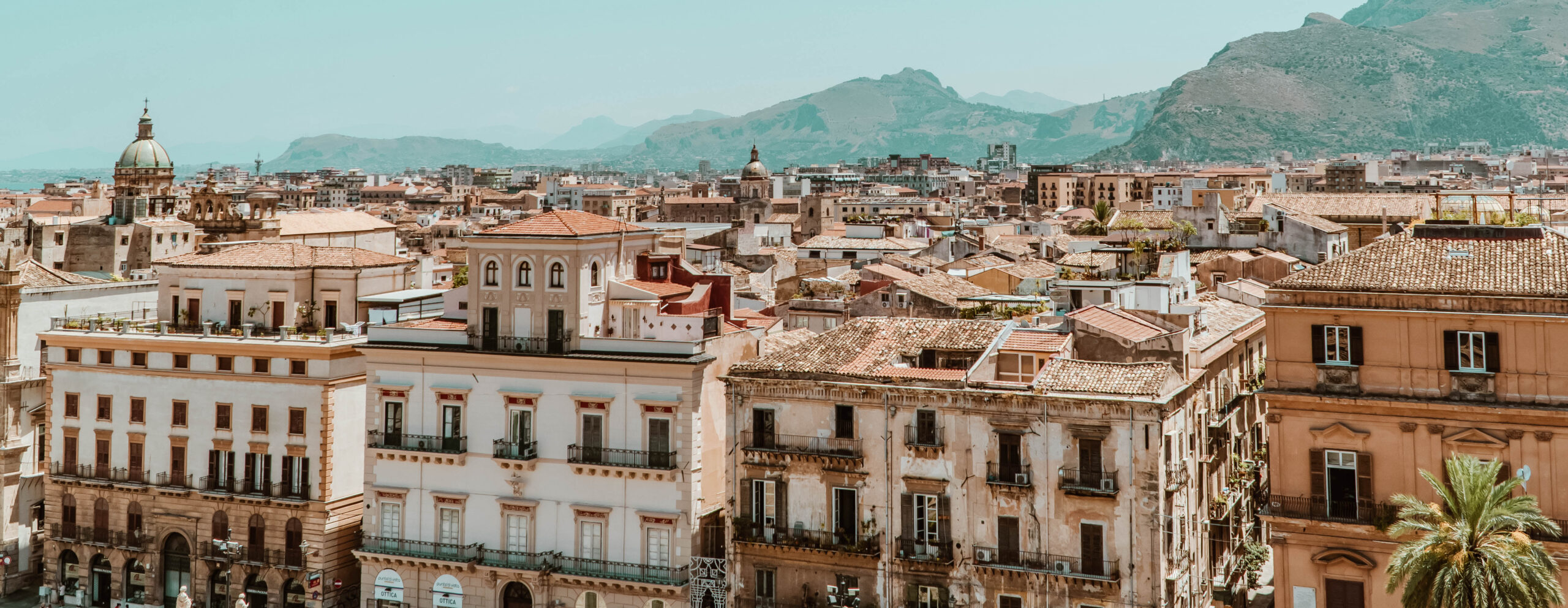 Amor al primer mordisco