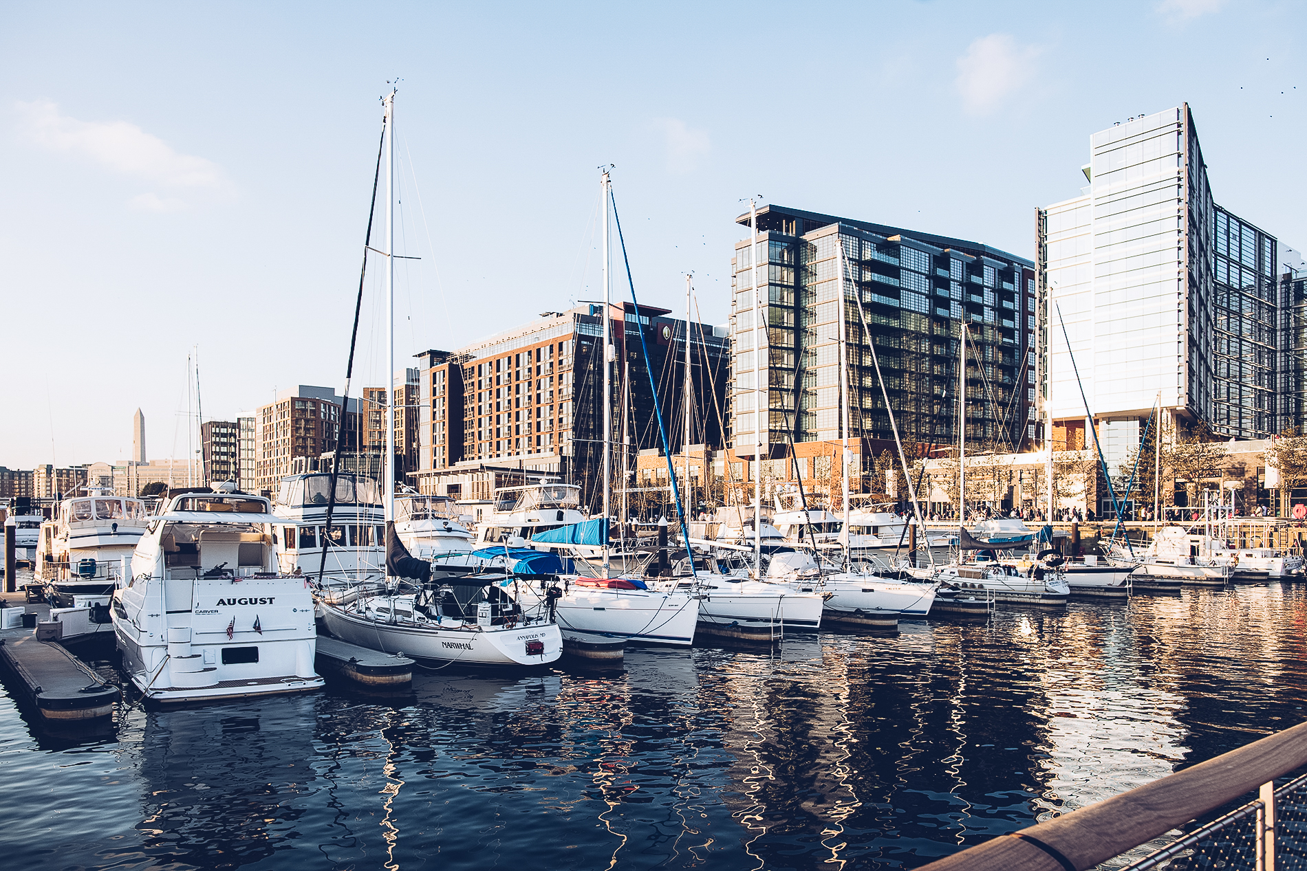 Las mejores cosas que ver en Washington