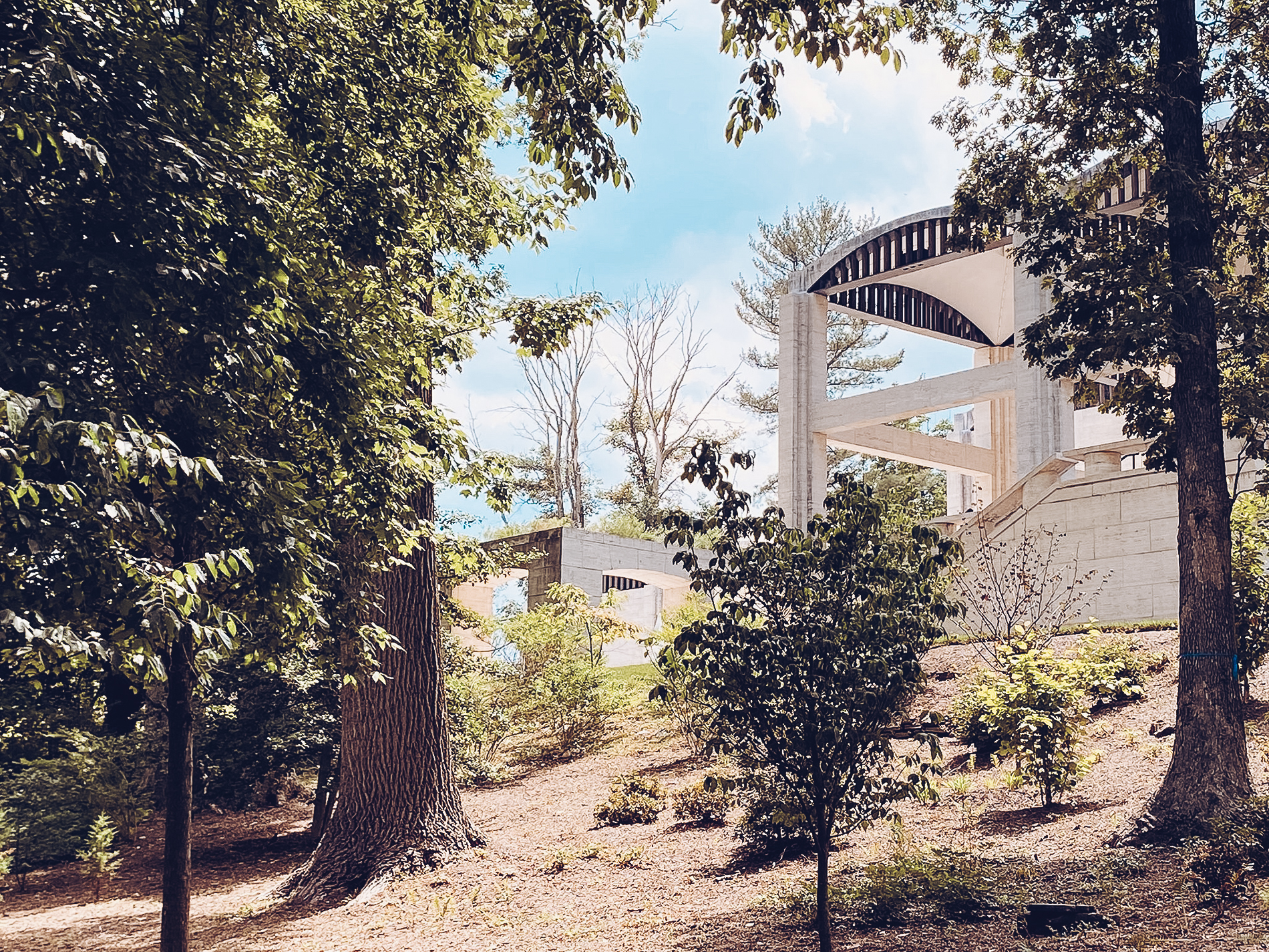 Las mejores cosas que ver en Washington