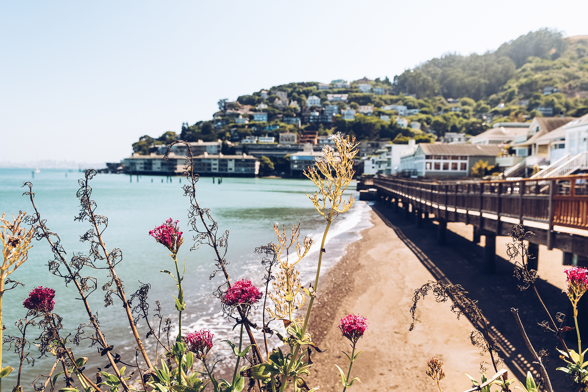 Las mejores cosas que ver en San Francisco