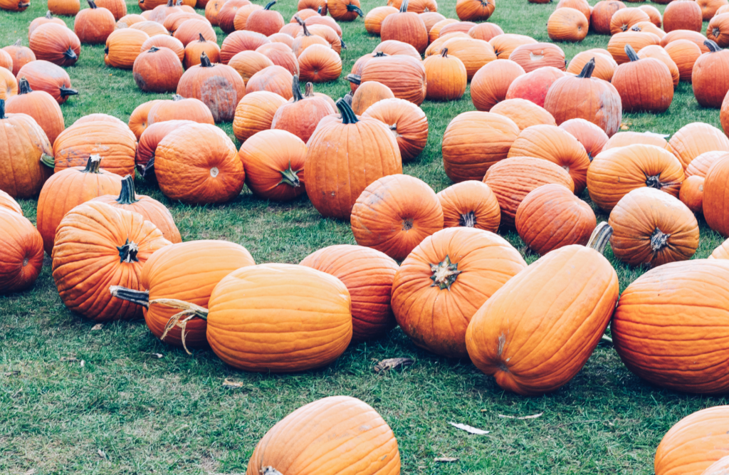 Halloween en Nueva York 2022