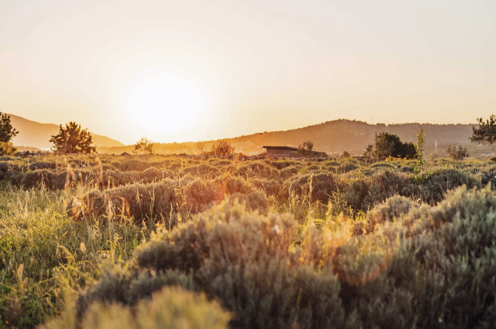 Qué hacer en Hvar, Croacia