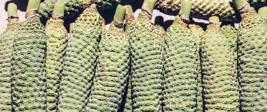 Guía de Madeira: la isla mágica portuguesa